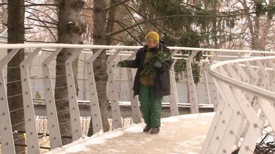 Ялинка на обід: чому черкаський зоопарк більше не приймає використані новорічні дерева містян Ялинка на обід: чому черкаський зоопарк більше не приймає використані новорічні дерева містян