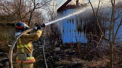 Житомир, загоряння сухої рослинності, пожежа