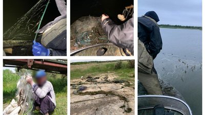 За вихідні правоохоронці вилучили понад 3 кілометри сіток для вилову риби
