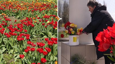 Херсон, квіти, ЗСУ, подяка військовим