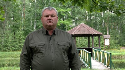 Рекреаційні пункти біля доріг: де в лісах Чернігівщини можна відпочивати Рекреаційні пункти біля доріг: де в лісах Чернігівщини можна відпочивати
