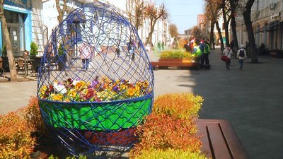 У Житомирі на Михайлівській почали висаджувати живі квіти
