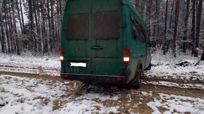 На Волині затримали чоловіка за зрубані 32 новорічні сосни На Волині затримали чоловіка за зрубані 32 новорічні сосни