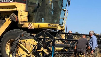 Зберуть достатньо, але продавати невигідно: як на Черкащині вирощують сою у 2023 році