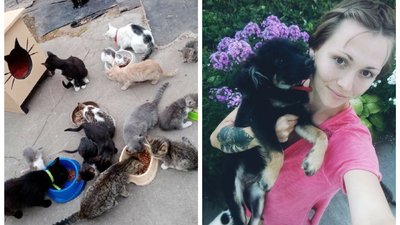Мурчик, Юрчик, Яся, Буся. Жителька Новомиргорода на Кіровоградщині прихистила понад три десятки котів Мурчик, Юрчик, Яся, Буся. Жителька Новомиргорода на Кіровоградщині прихистила понад три десятки котів
