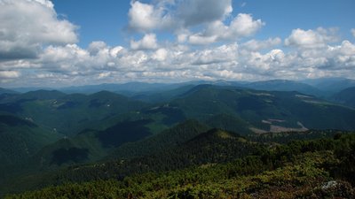 Прокуратура вимагає встановити охоронний статус для 1385 га заповідних пралісів