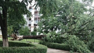 Повалені дерева та пошкоджені покрівлі: наслідки негоди на Хмельниччині
