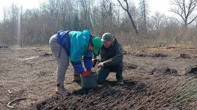 У лісництві на Тернопільщині висаджують дуби