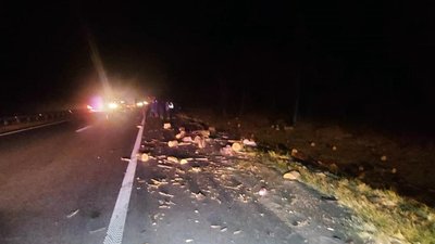На Житомирщині у ДТП загинув водій гужової повозки