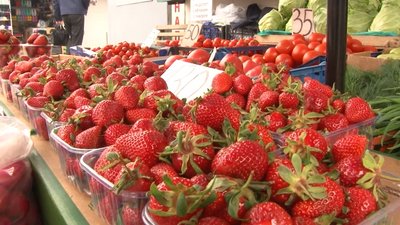 Вміст нітратів: на черкаському ринку перевіряють полуниці