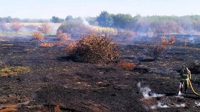 Пожежа, торф, поле, Івано-Франківщина