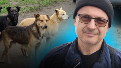 Відлов тварин на Миколаївщині як відбувається