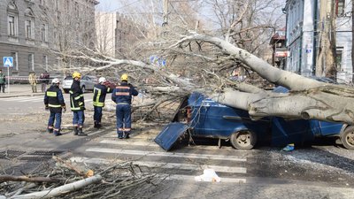 Міськрада Одеси має заплатити 109 тисяч за ремонт авто, на яке впало дерево