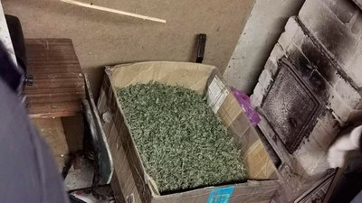 У жителя Чернігівщини поліція вилучила наркотиків на понад мільйон гривень У жителя Чернігівщини поліція вилучила наркотиків на понад мільйон гривень