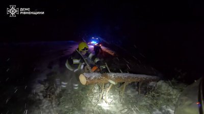 Зламане через сніг дерево перекрило проїзд міжнародною трасою на Рівненщині