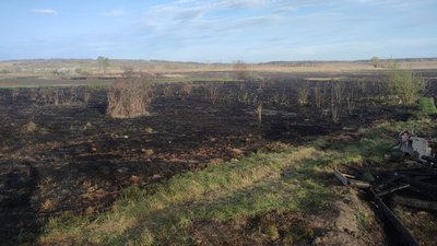 Вигорів луг і згорів дачний будинок. Мешканець Сумського району палив суху траву — поліція Вигорів луг і згорів дачний будинок. Мешканець Сумського району палив суху траву — поліція