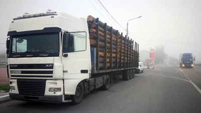 На Житомирщині поліцейські затримали фуру з лісом без документів
