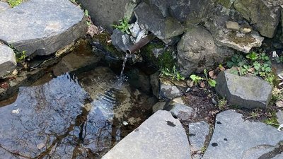 "Напір зменшився, а вода помутніла": що з Оконськими джерелами на Волині "Напір зменшився, а вода помутніла": що з Оконськими джерелами на Волині