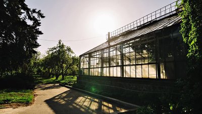 ВДНГ збирає гроші на відродження Оранжереї