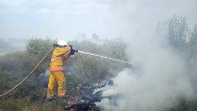 У Павлограді згоріло 2 гектари сухої трави