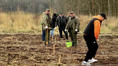 Лісівники та волонтери UAnimals відновлюють ліс на Вінниччині