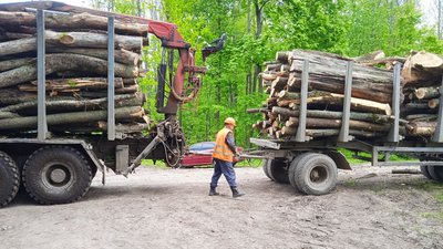 На Сумщині стартувала заготівля дров: як змінились ціни цього року та де можна придбати тверде паливо На Сумщині стартувала заготівля дров: як змінились ціни цього року та де можна придбати тверде паливо