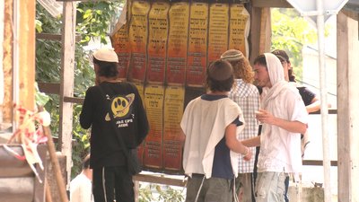 хасиди в умані хасиди в умані