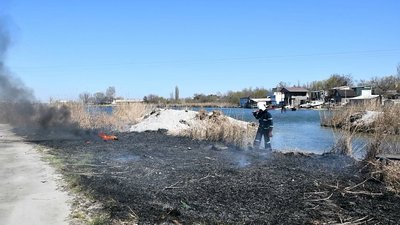 Хвойна підстилка, суха трава, сміття, очерет – рятувальники Миколаївщини 11 разів гасили пожежі Хвойна підстилка, суха трава, сміття, очерет – рятувальники Миколаївщини 11 разів гасили пожежі