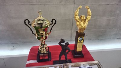 Сумчанин отримав диплом найсильнішої людини у світі Сумчанин отримав диплом найсильнішої людини у світі