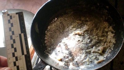 Обережно гриби — на Київщині отруїлися двоє дівчат Обережно гриби — на Київщині отруїлися двоє дівчат
