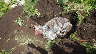 Загинули під час обстрілу. У селі на Миколаївщині ексгумували тіла двох жителів Загинули під час обстрілу. У селі на Миколаївщині ексгумували тіла двох жителів
