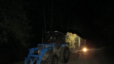 На Житомирщині розслідують крадіжку лісоматеріалів
