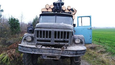 40 соснових колод: на Рівненщині чоловік перевозив деревину, але не знав, звідки вона 40 соснових колод: на Рівненщині чоловік перевозив деревину, але не знав, звідки вона