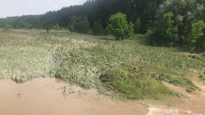 Потопи, повалені дерева і пошкоджені будинки: що стихія наробила в Україні