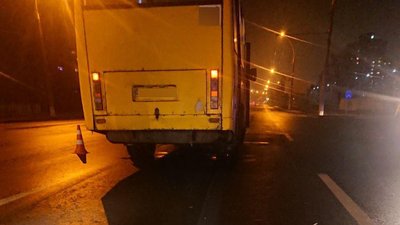 У Сумах маршрутка збила жінку та 2-річну дитину - поліція
