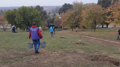 168 саджанців вирощені з плодів сімсотрічного Запорізького дуба висадили у Вознесенівському парку 168 саджанців вирощені з плодів сімсотрічного Запорізького дуба висадили у Вознесенівському парку
