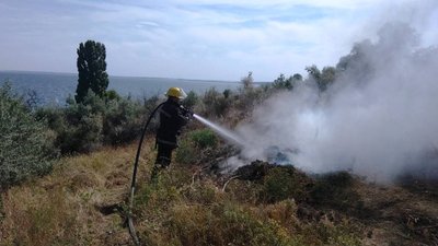 На Херсонщині загасили 27 пожеж: горіли сухостій та пожнивні залишки