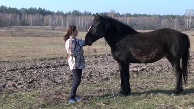 Останні жителі села Ясна Поляна, що на прикордонні Чернігівщини, стали переселенцями