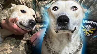 Бойовий пес Локі