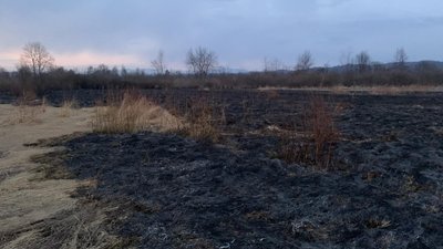 У Долині нарцисів на Закарпатті сталася пожежа У Долині нарцисів на Закарпатті сталася пожежа