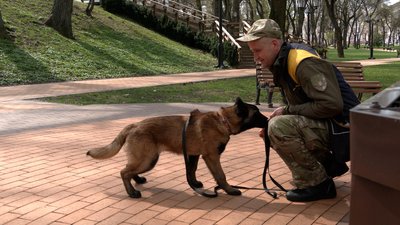 Шукатимуть наркотики, вибухівку та людей: у Чернігові кінологічний центр Нацполіції взяв 6 цуценят на навчання Шукатимуть наркотики, вибухівку та людей: у Чернігові кінологічний центр Нацполіції взяв 6 цуценят на навчання