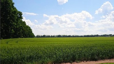Вторгнення Росії в Україну: що відбувається на Сумщині. Тиждень 16. Онлайн Вторгнення Росії в Україну: що відбувається на Сумщині. Тиждень 16. Онлайн