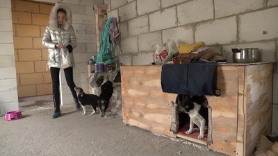 У Херсоні волонтери організували "Службу спасіння тварин" У Херсоні волонтери організували "Службу спасіння тварин"