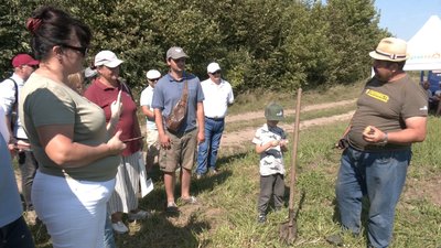 День поля в Усичах на Волині День поля в Усичах на Волині