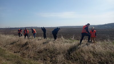 На Тернопільщині обабіч доріг висадили майже шістсот дерев На Тернопільщині обабіч доріг висадили майже шістсот дерев