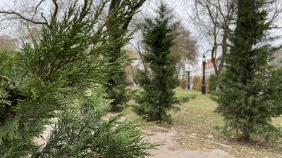 Вночі та вранці 1 січня на Херсонщині очікується сильний туман