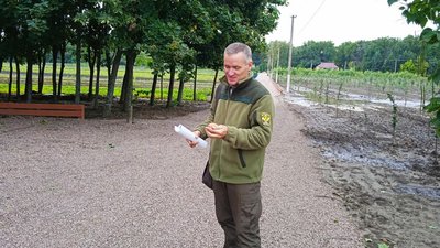 Великобобрицьке лісництво на Сумщині вирощує яблуні