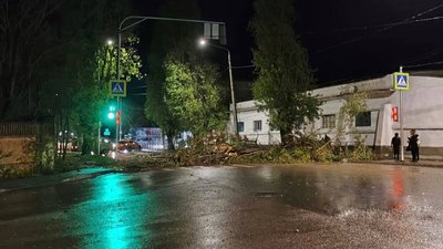 У Криму через негоду впали дерева та затопило пляж: що відомо