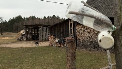 "Життя на хуторі — це постійна праця": як чотири волинські сім'ї ведуть господарство вдалині від сіл "Життя на хуторі — це постійна праця": як чотири волинські сім'ї ведуть господарство вдалині від сіл