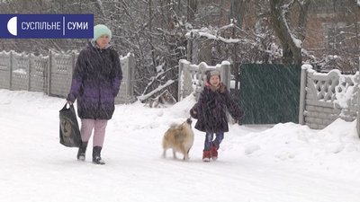 Ловлять і стерилізують. У селі Сад під Сумами намагаються рятувати безпритульних тварин Ловлять і стерилізують. У селі Сад під Сумами намагаються рятувати безпритульних тварин